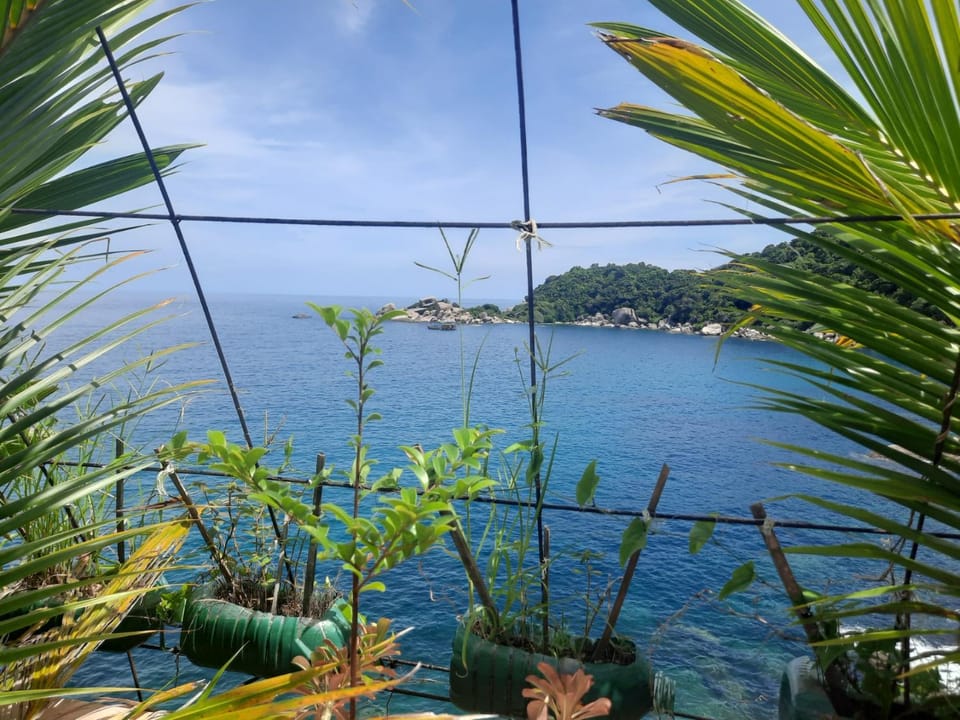 Hin Wong Apartments Dive & Snorkel Resort Resort in Ko Tao