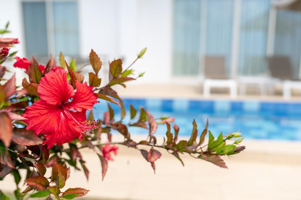 Crystal Villa Miyakojima Sunayama Beach Villa in Okinawa Prefecture