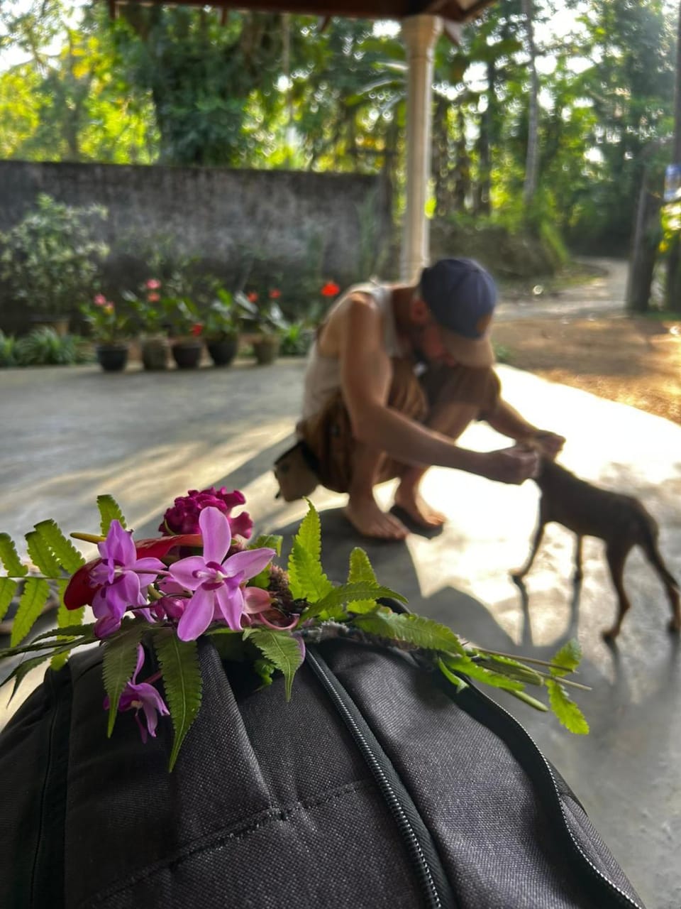 Sinharaja Greenvilla Vacation rental in Southern Province