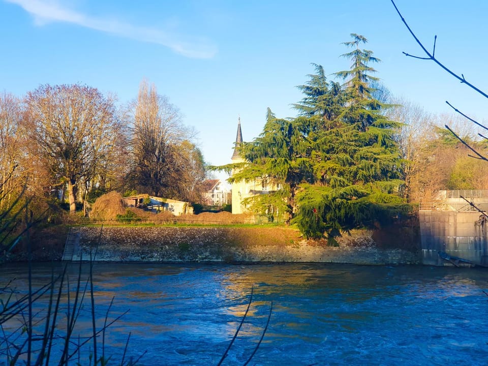 Natural landscape, River view