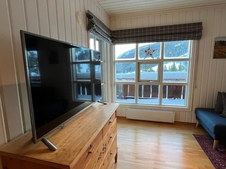 TV and multimedia
