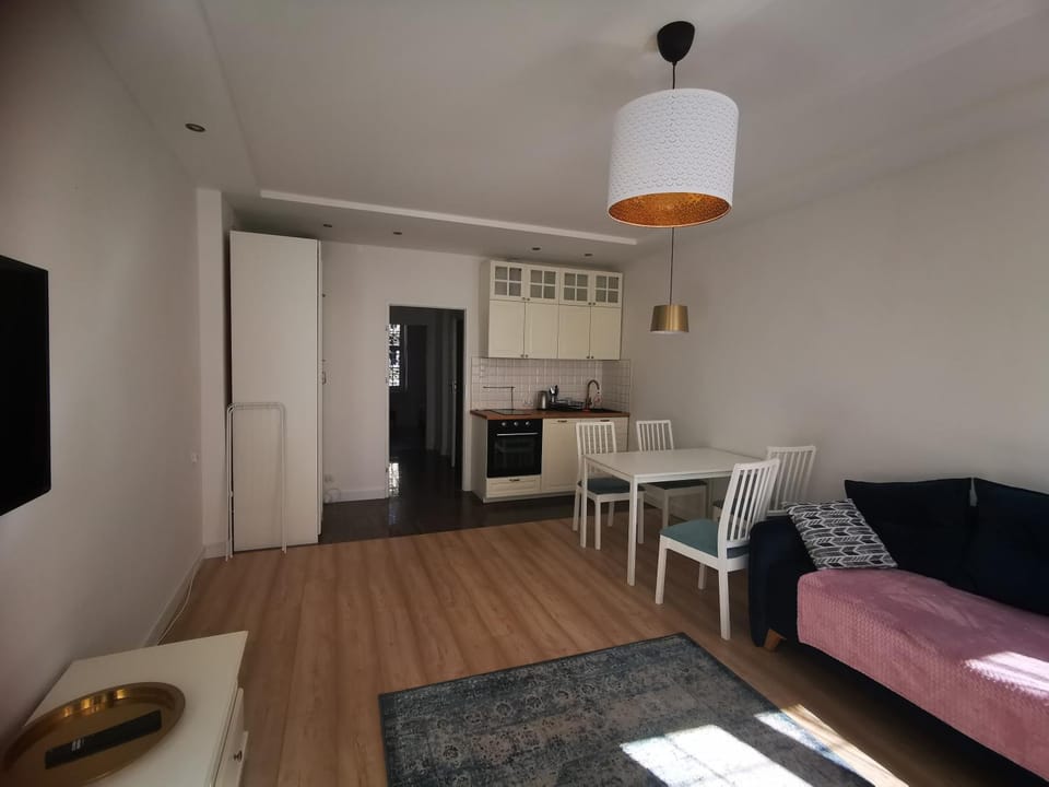 Kitchen or kitchenette, Living room, Seating area, Dining area, pet friendly, stove