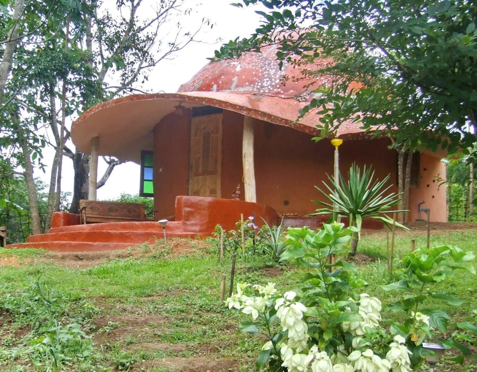Property building, Garden, Photo of the whole room
