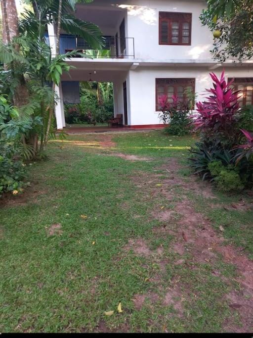 Property building, Garden view