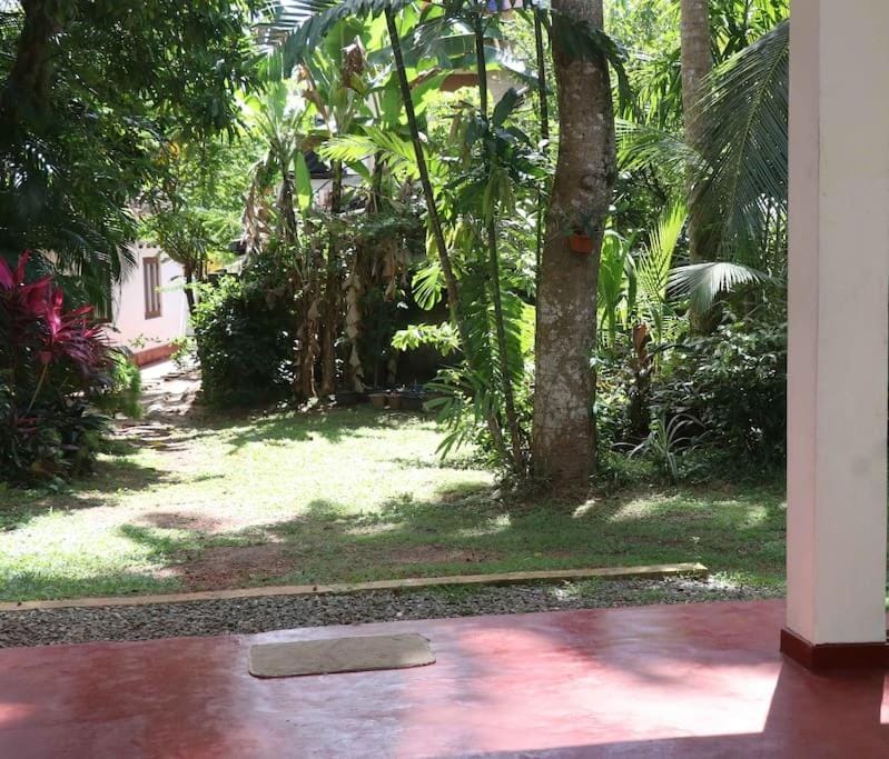 Garden view