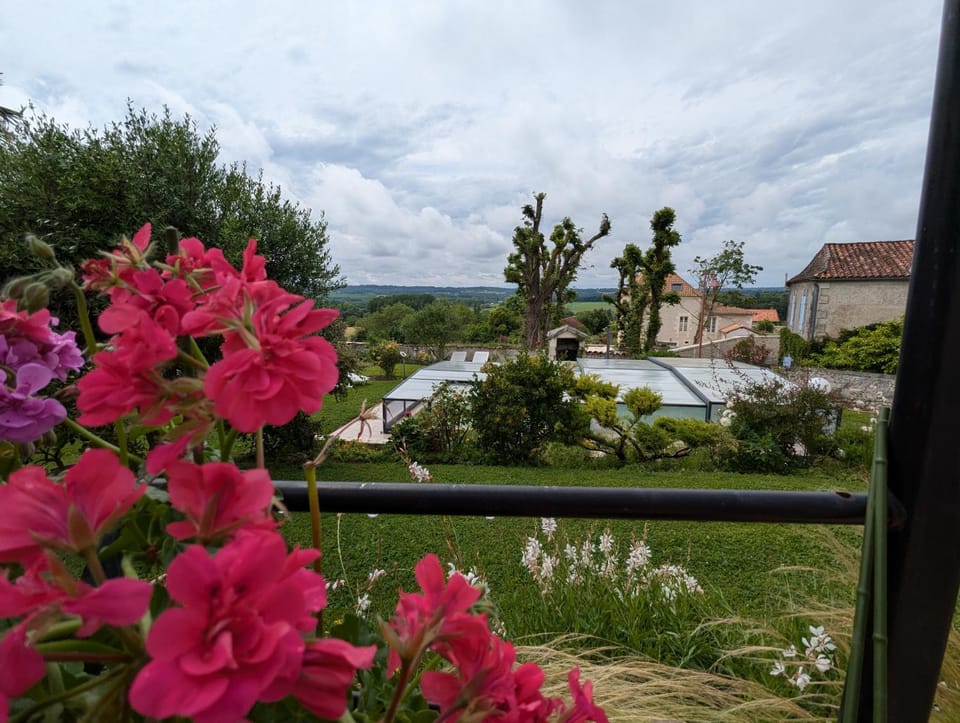 Natural landscape, Garden, Garden view, Pool view