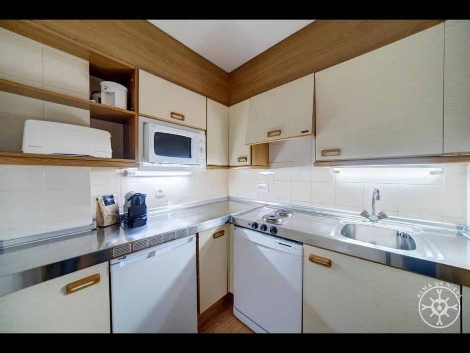 HELLIN de Alma de Nieve Apartment in Baqueira