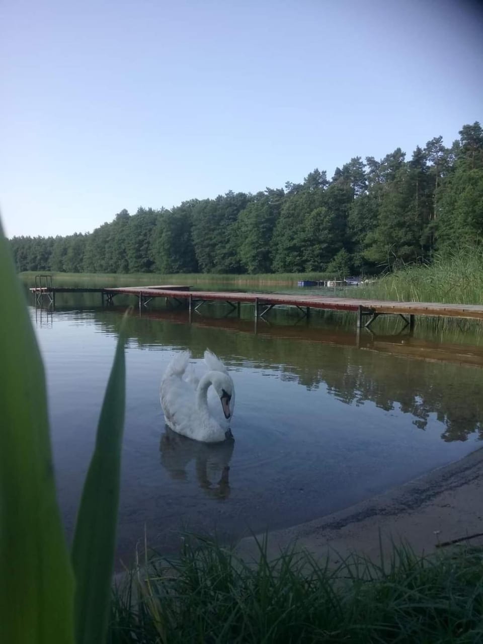 Lake view