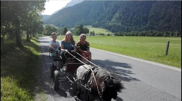 Mussbachhof Farm Stay in Salzburgerland