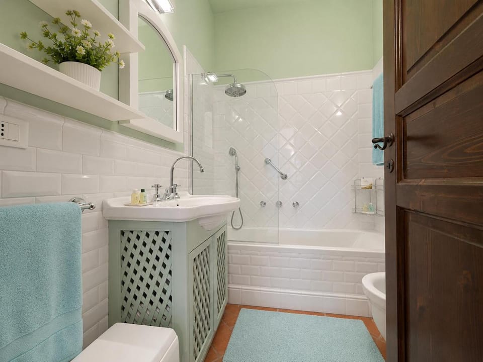 Shower, Toilet, Bathroom, bidet