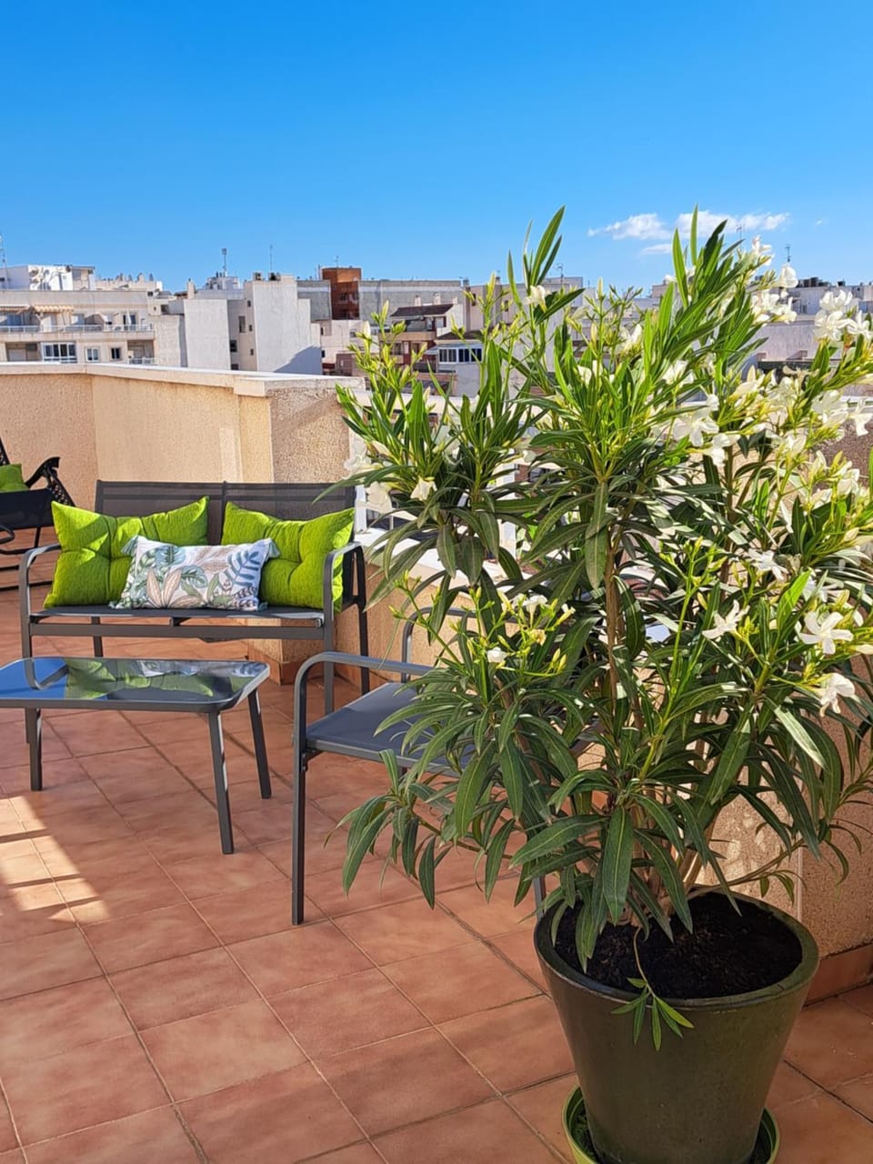 Balcony/Terrace