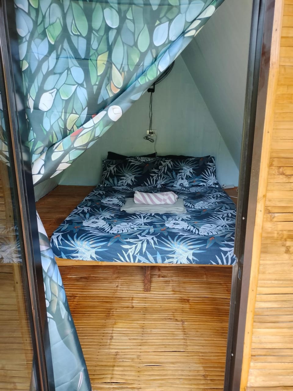 Bed, Photo of the whole room