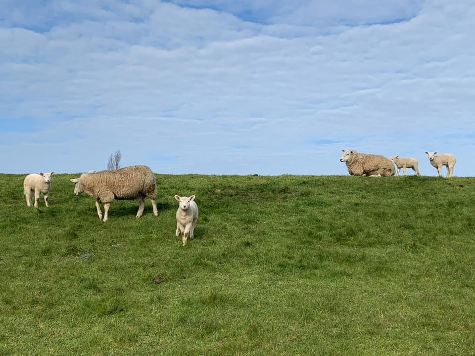 Natural landscape