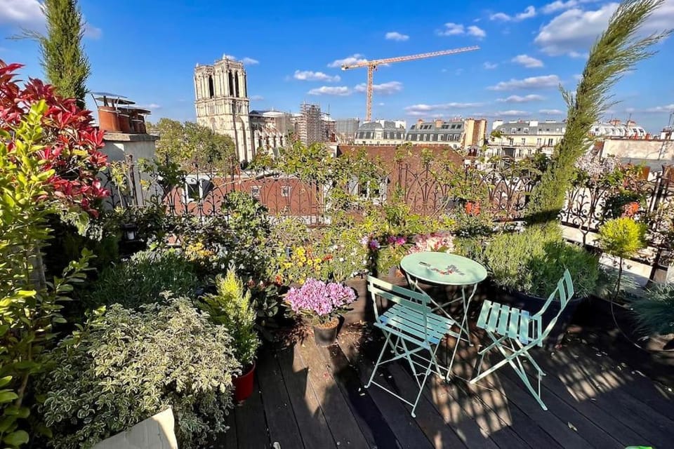 Spring, Day, Garden, City view, Garden view