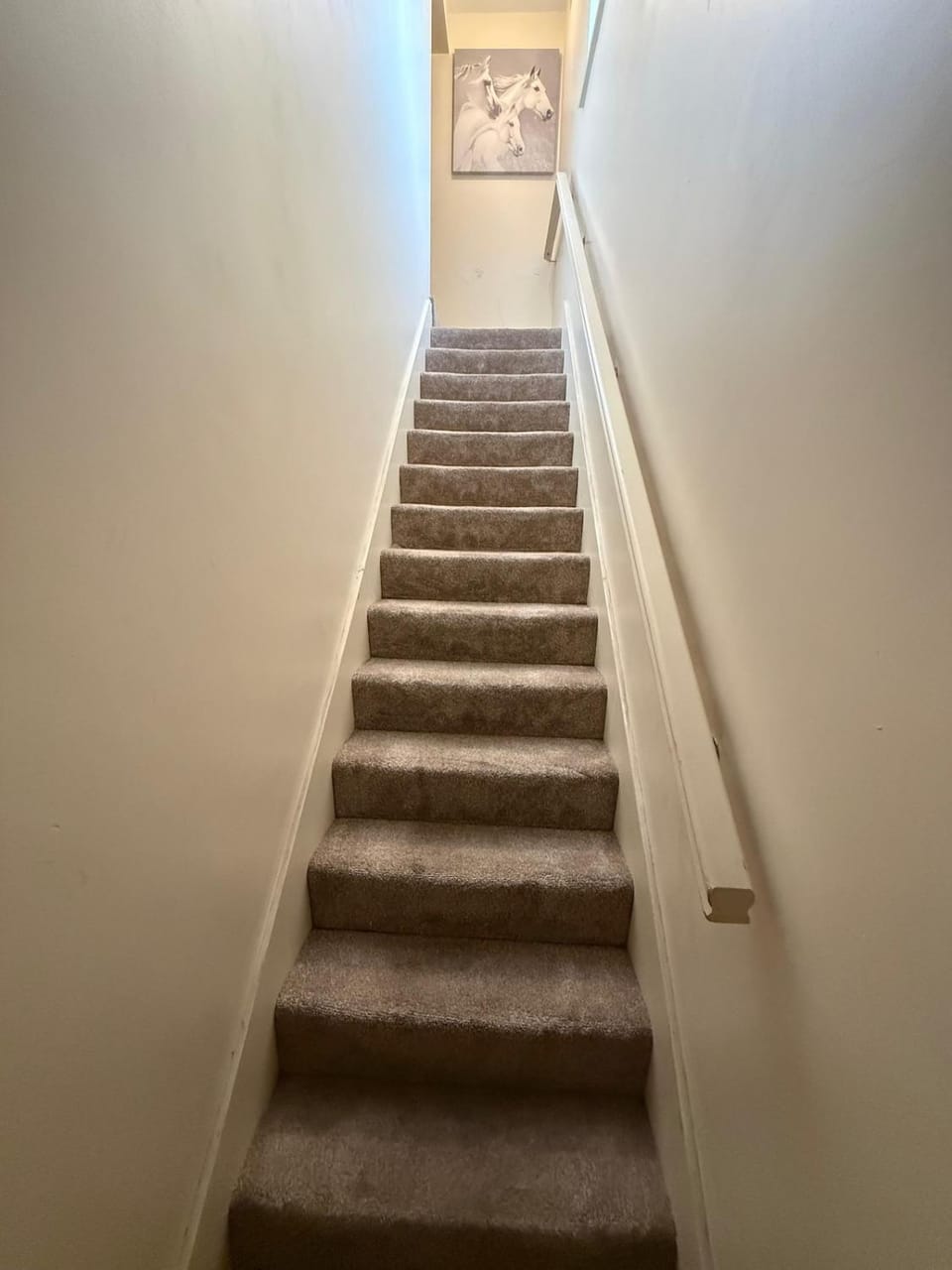 Comfort Arena Apartment in Colchester