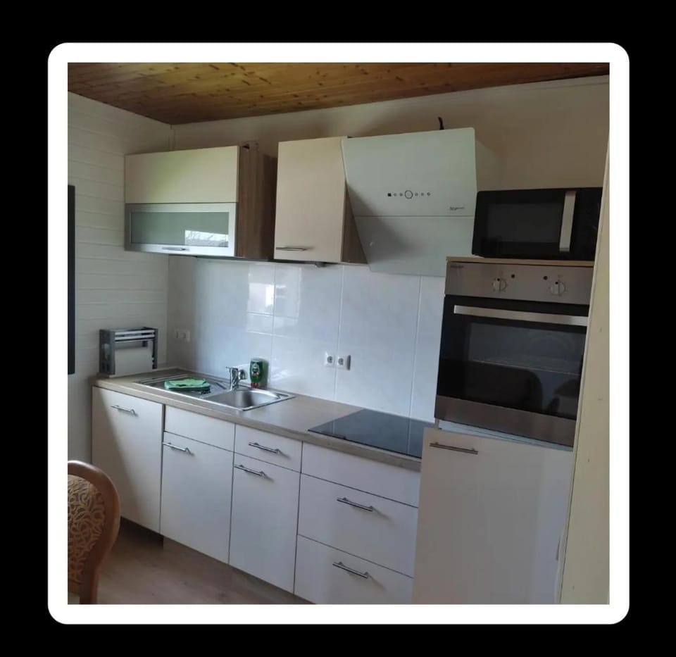 Kitchen or kitchenette, dishwasher, minibar, pet friendly, stove