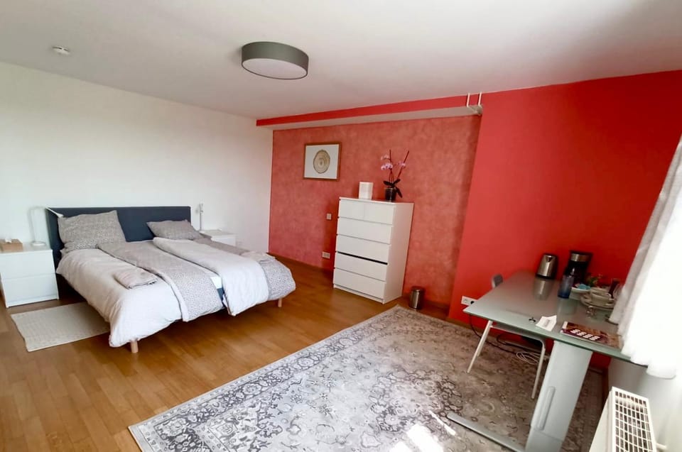 Cosy Room in Remich Vacation rental in Trier-Saarburg