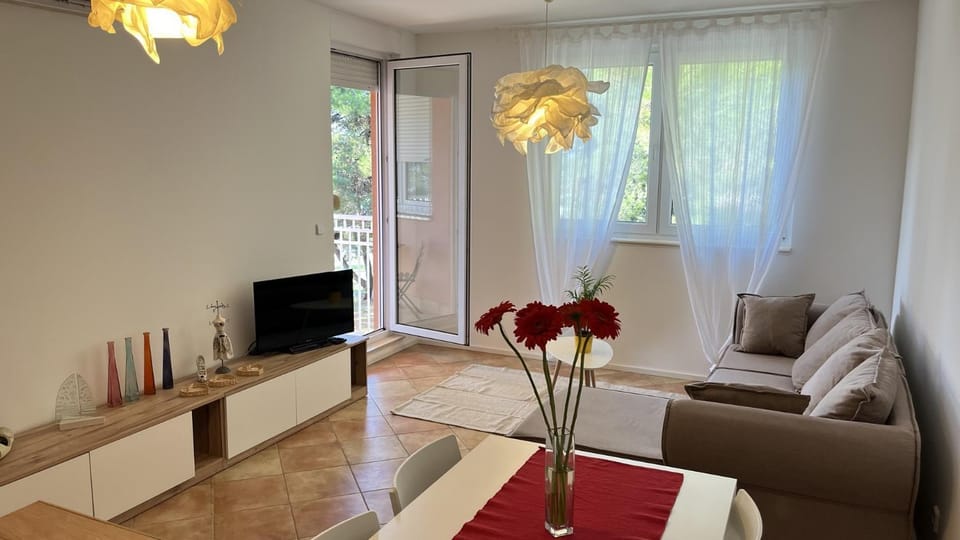 Balcony/Terrace, Living room, air conditioner