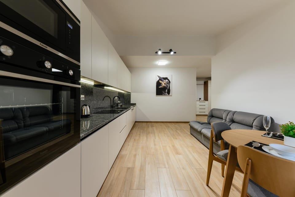 EVURI Apartments Uzhorod Apartment in Slovakia