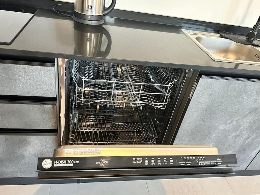 Kitchen or kitchenette, dishwasher