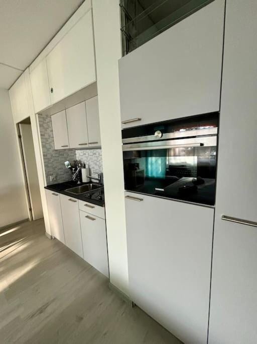 Quiet Lake Apartment Apartment in Lugano
