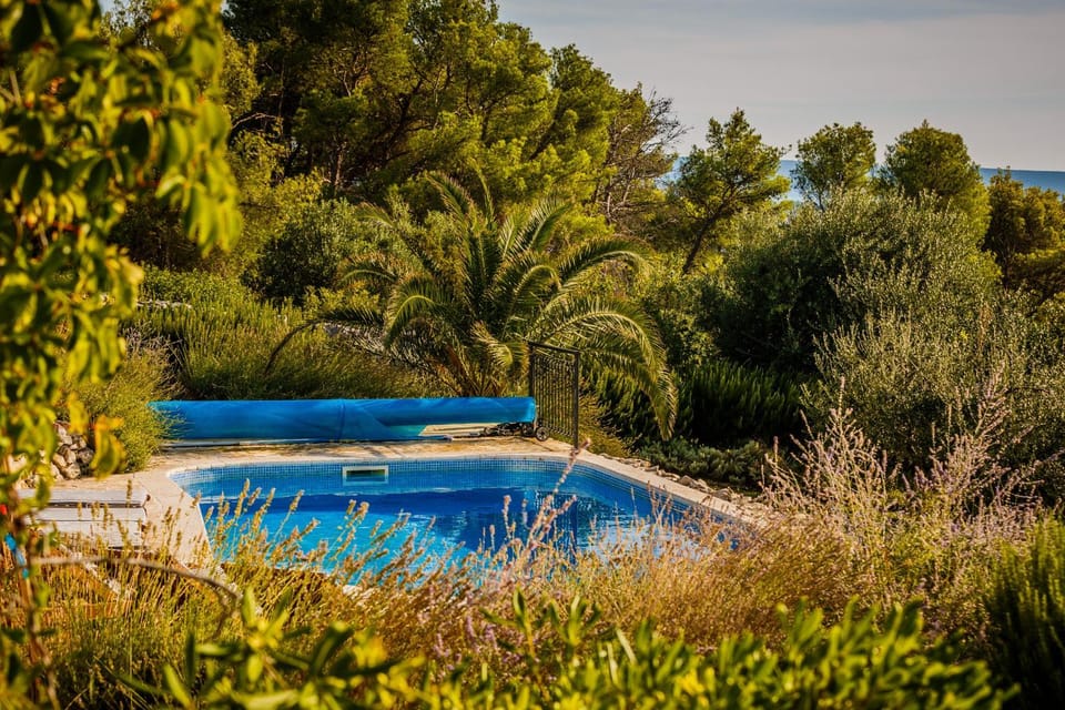 Villa Amarina Villa in Trogir