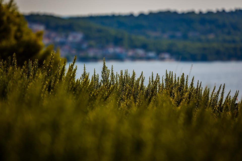 Villa Amarina Villa in Trogir