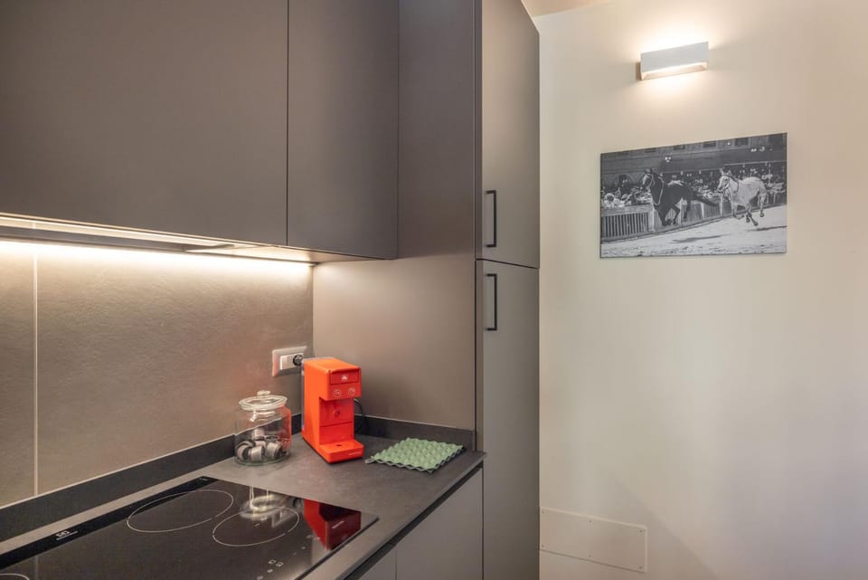 Ampio monolocale nel centro storico di Siena Apartment in Siena