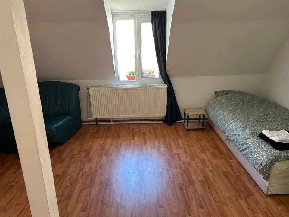 Bivolul Negru Apartment in Romania