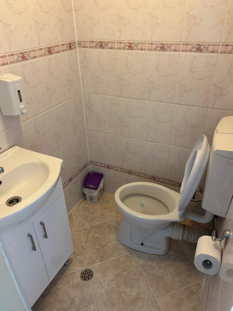 Bivolul Negru Apartment in Romania