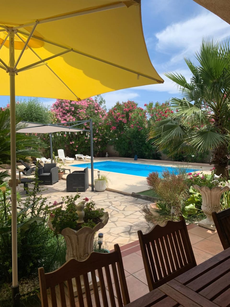 Patio, Day, Summer, Garden, Garden, Garden view, Pool view, Swimming pool, Sunrise, sunbed