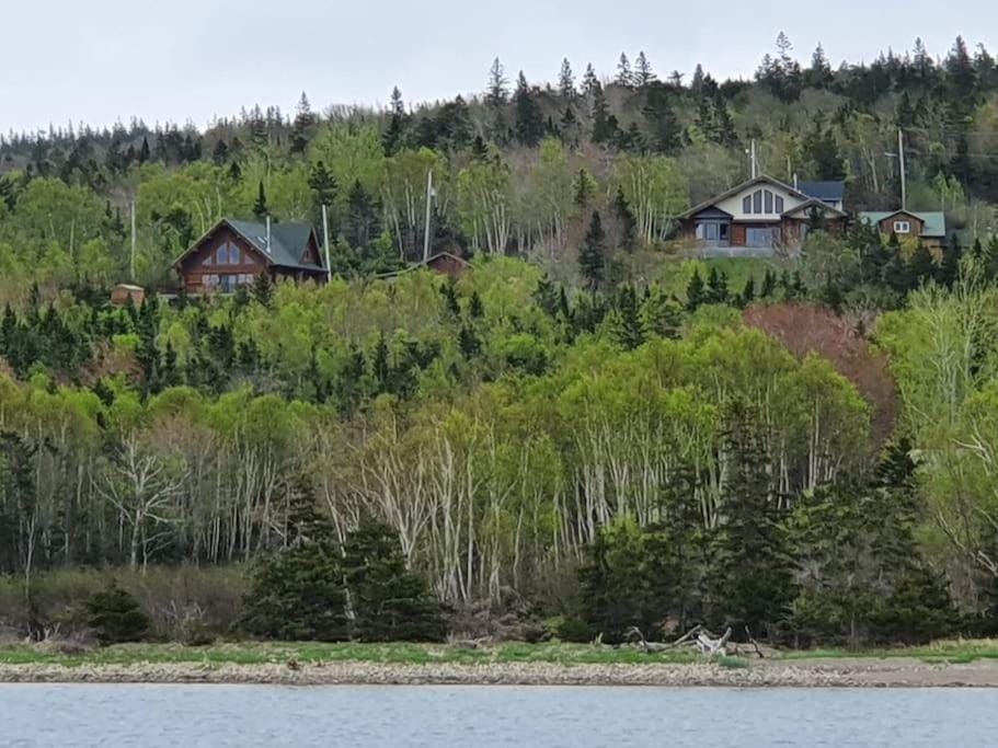 Lake view