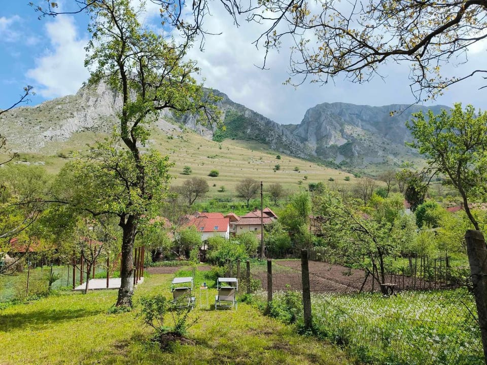 Casa de Vacanță Zabpatak Vendégház Bed and Breakfast in Cluj County