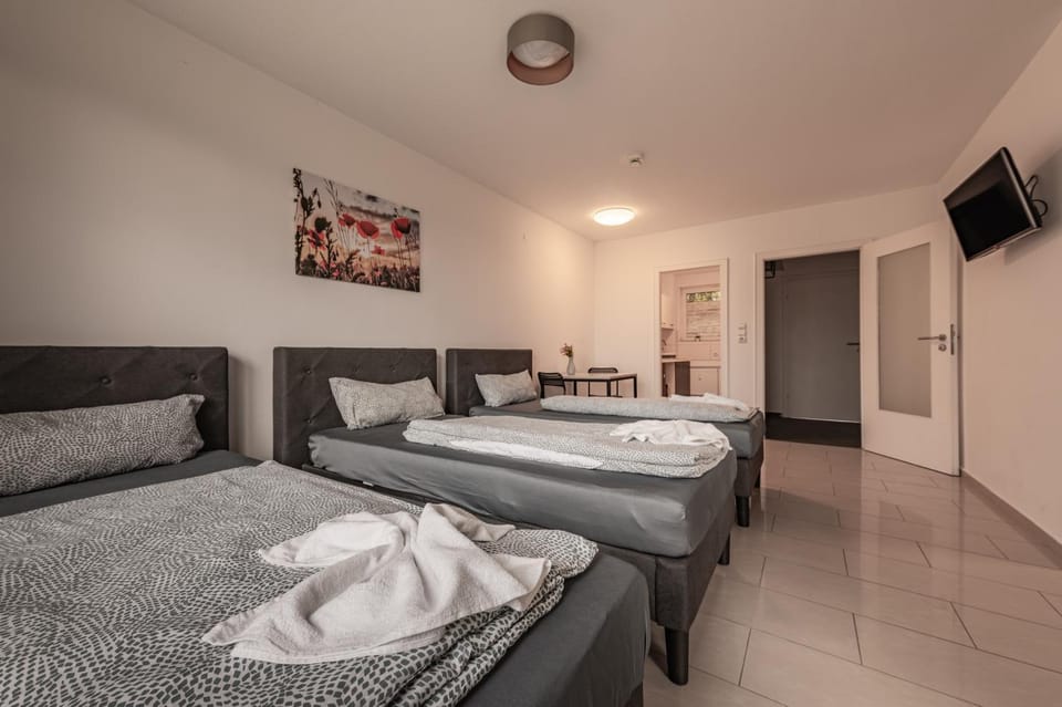 Bed, TV and multimedia, Photo of the whole room, towels