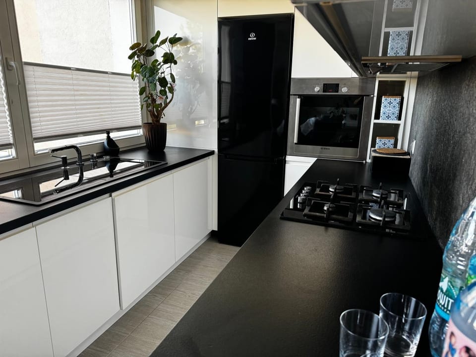 Kitchen or kitchenette, dishwasher, minibar, pet friendly, stove