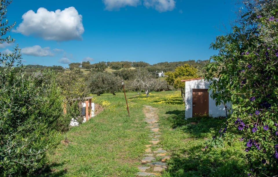 Garden, Garden view