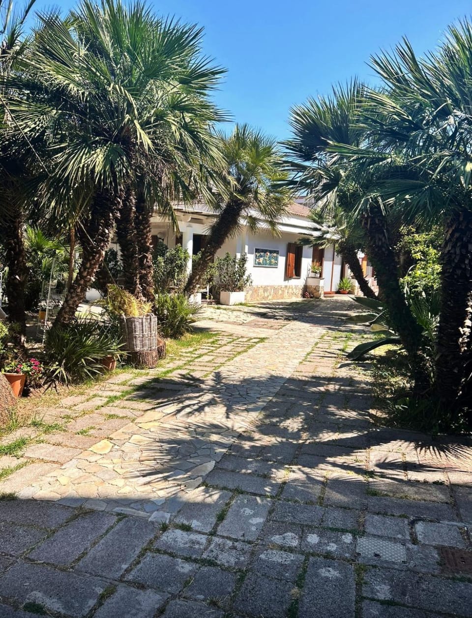 Property building, Spring, Day, Garden, Garden view