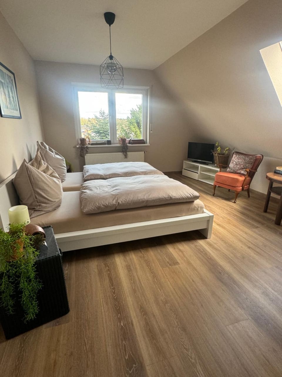 TV and multimedia, Photo of the whole room, Bedroom