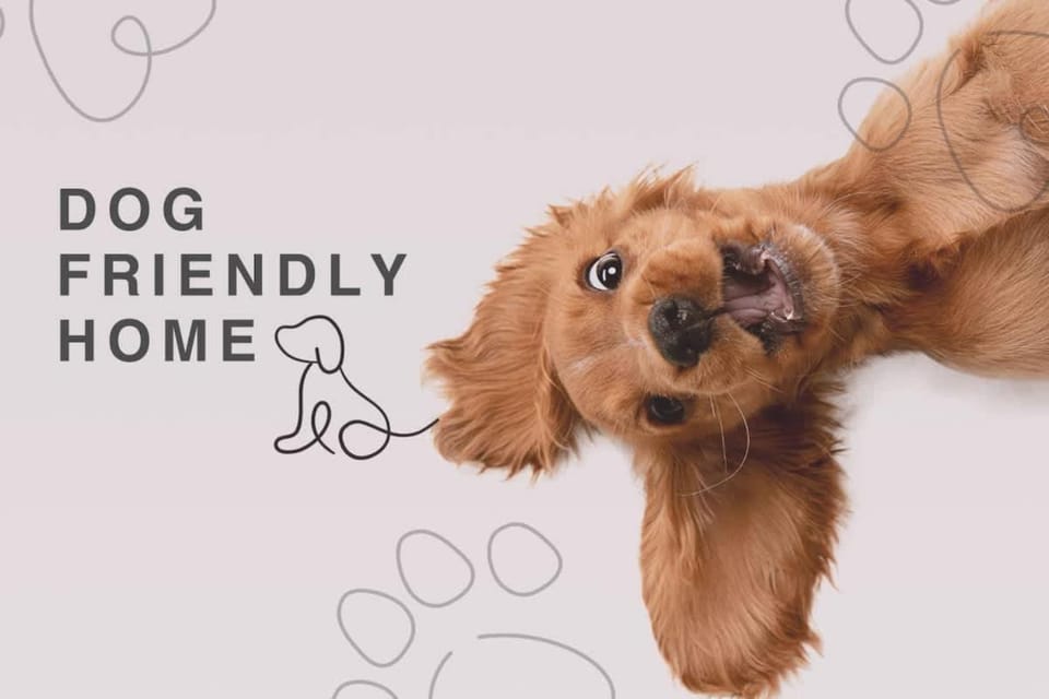 Spacious City centre 2 bed home Parking Sleeps 4 House in Chester