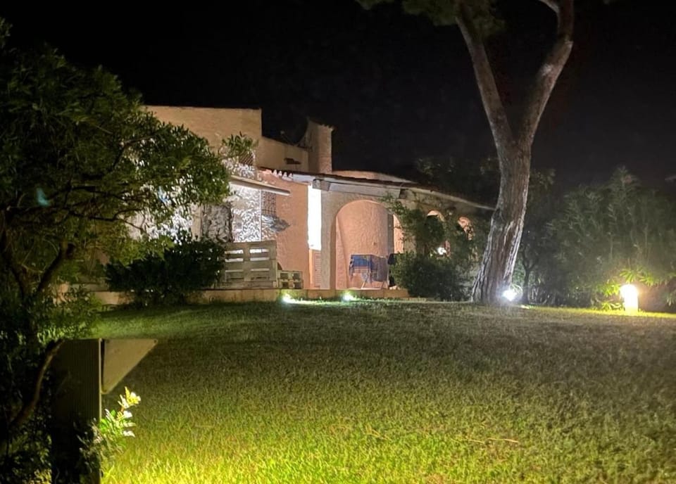 Property building, Garden, Garden view
