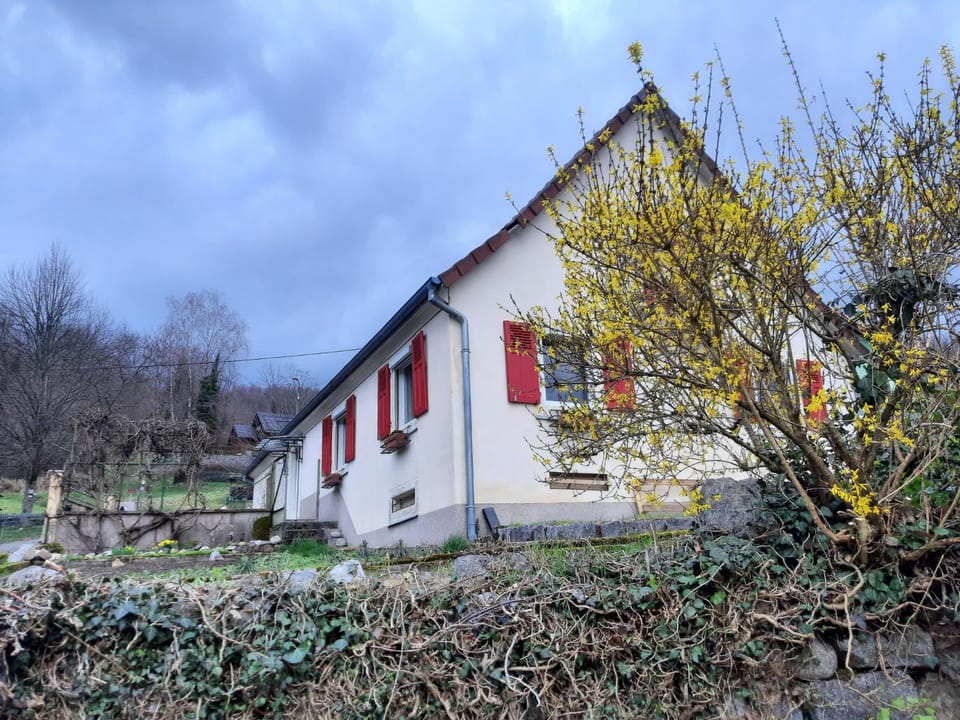 Property building, Day, Garden, Garden view