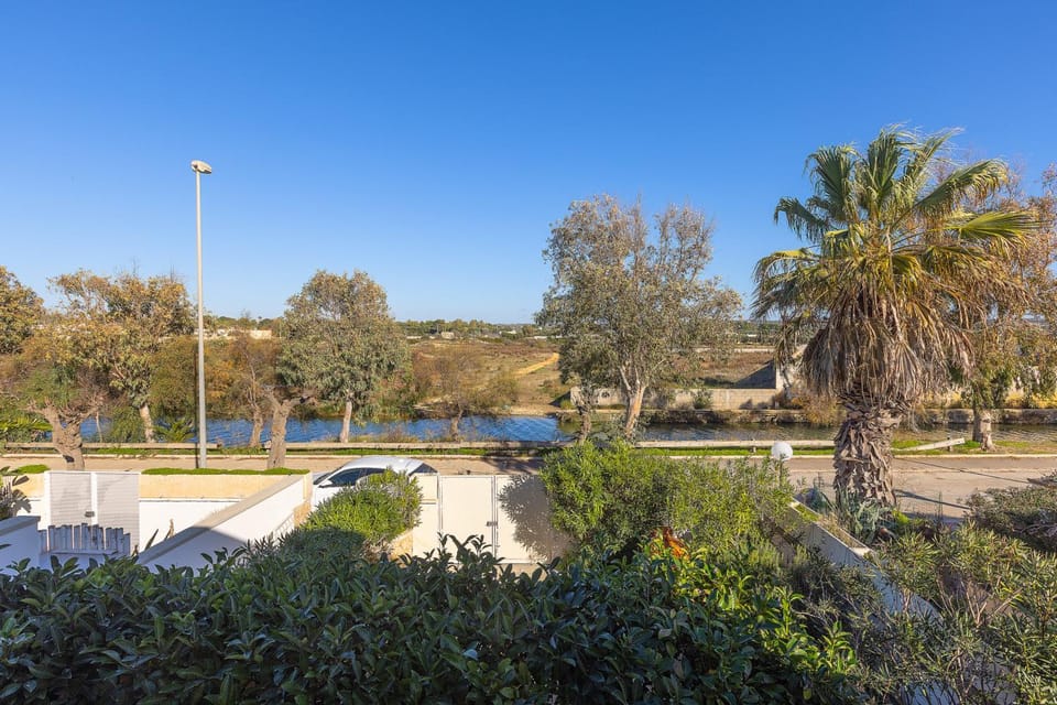 Property building, Bird's eye view
