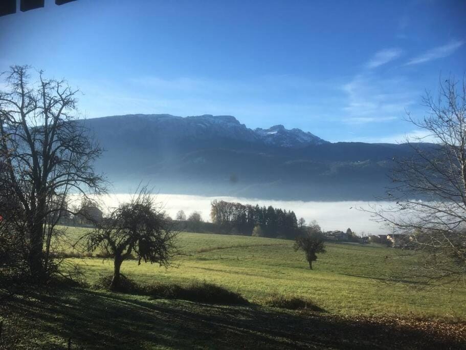 Spring, Natural landscape, Mountain view