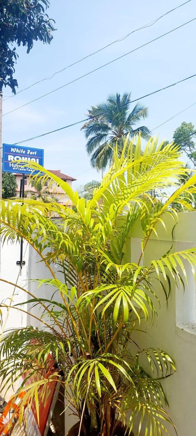 Whitefort Family Villa Alleppy-Homestay Hotel in Alappuzha