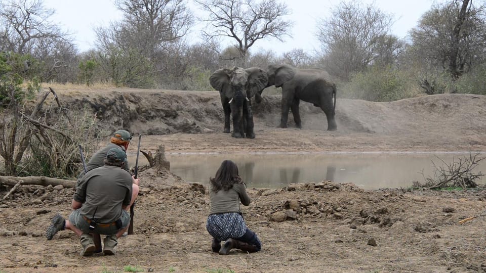 Animals, On site, Sports, group of guests
