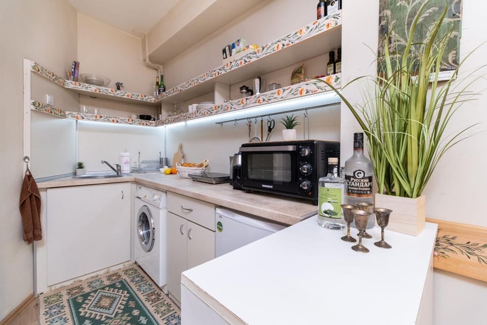 Kitchen or kitchenette, minibar, oven, washing machine, kitchen