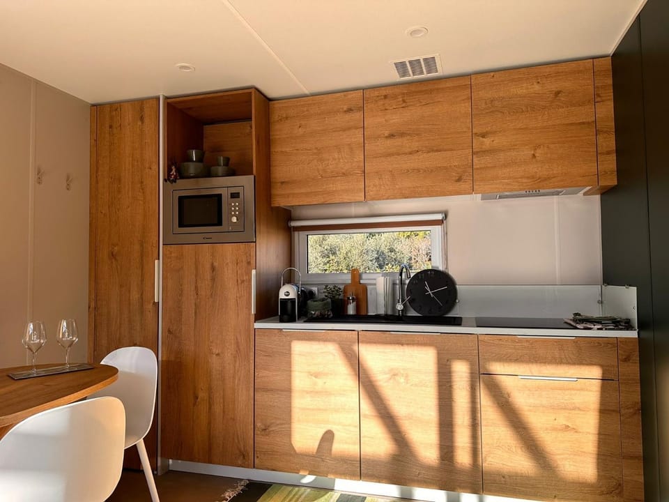 Kitchen or kitchenette, oven, kitchen