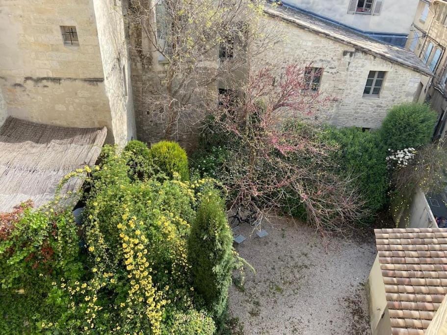 Appart 75 m2 Intramuros sur cour Apartment in Avignon