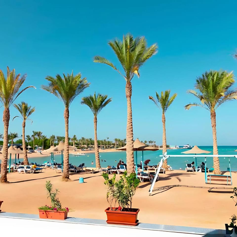 Restaurant/places to eat, Day, Beach, sunbed