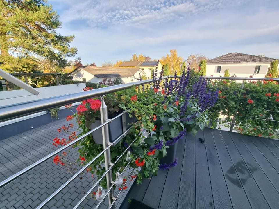 View (from property/room), Balcony/Terrace